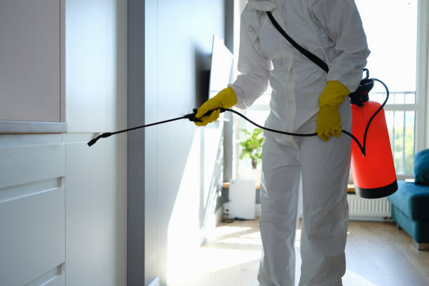 Why You Should Choose Our Mold Remediation Services in Orofino, ID